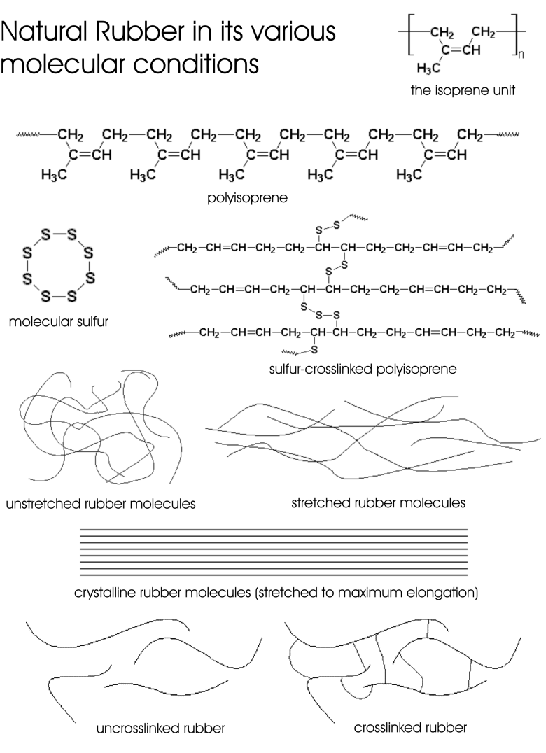 Natural rubber graphic